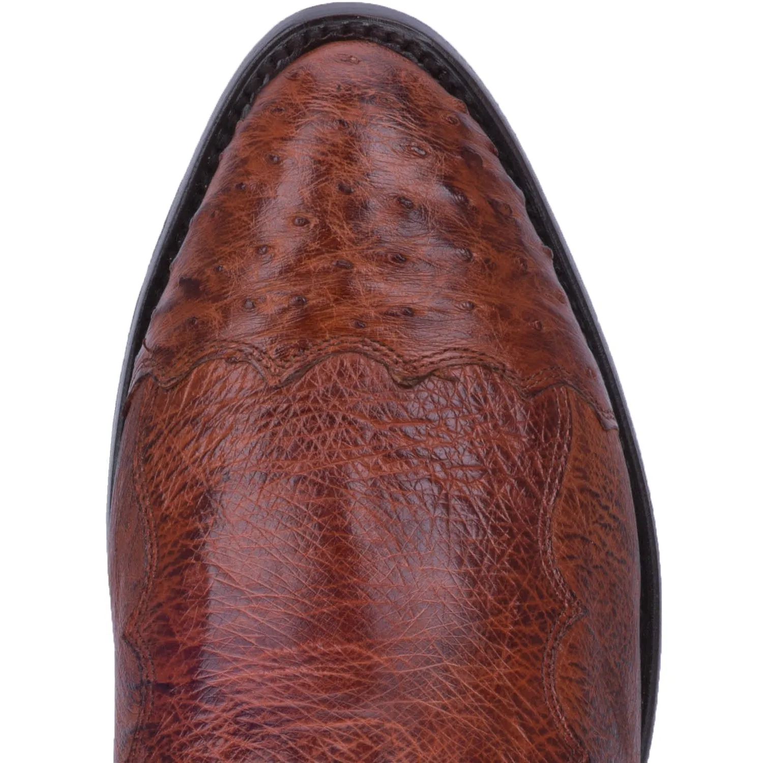 Men's Dan Post Pugh Cognac Smooth Ostrich - DPP5210